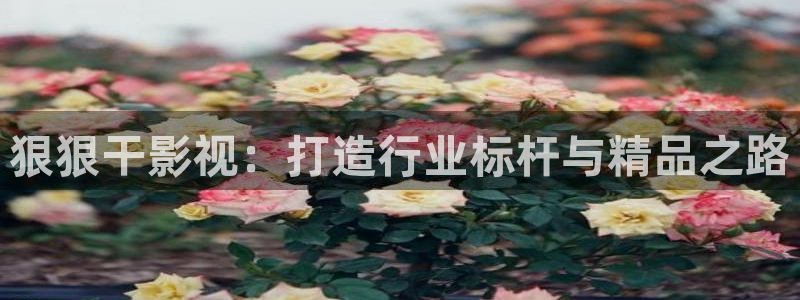 爱丫爱丫在线影院电视剧小说：狠狠干影视：打造行业标杆与精品之路