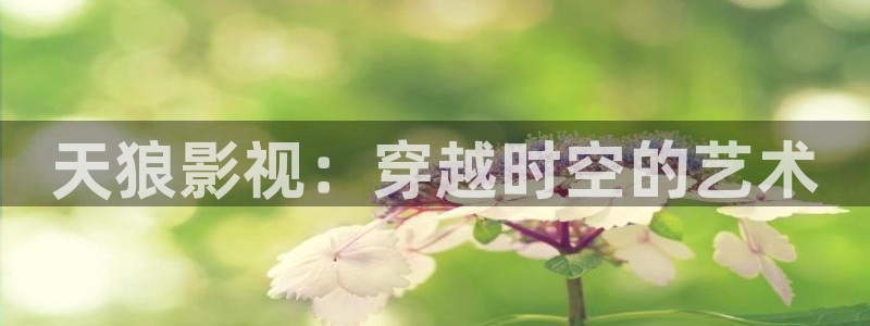 爱丫爱丫影院电视剧高清播放：天狼影视：穿越时空的艺术