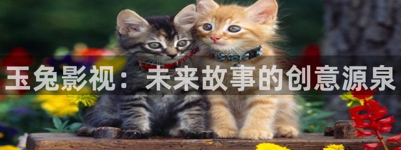 爱丫爱丫影院最新电视剧免费观看：玉兔影视：未来故事的创意源泉