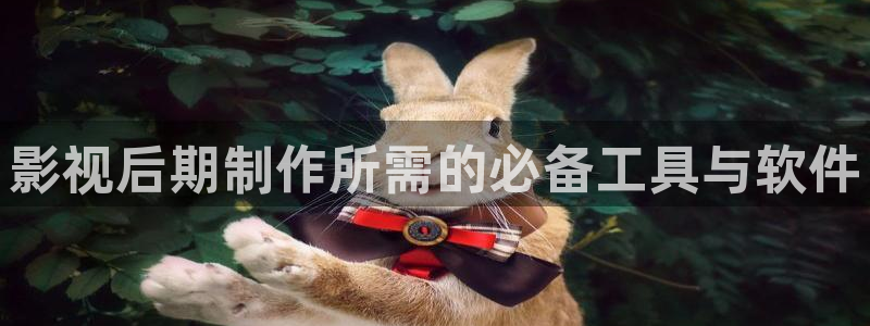 爱丫爱丫兄妹在线电视剧：影视后期制作所需的必备工具与软件