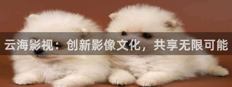 爱丫爱丫在线影院电视剧小说免费：云海影视：创新影像文化，共享无限可能
