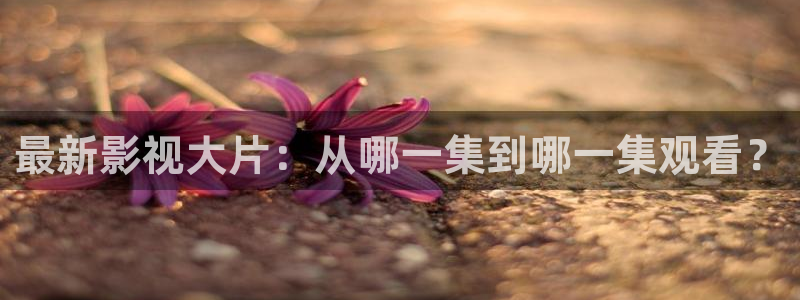 爱丫爱丫成全免费高清电视剧：最新影视大片：从哪一集到哪一集观看？