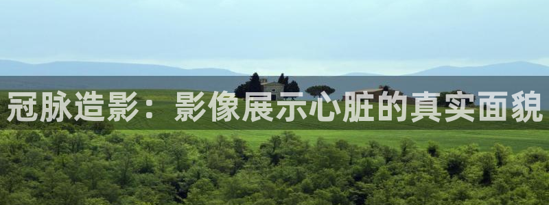 爱丫爱丫在线观看免费高清电视剧爱丫：冠脉造影：影像展示心脏的真实面貌