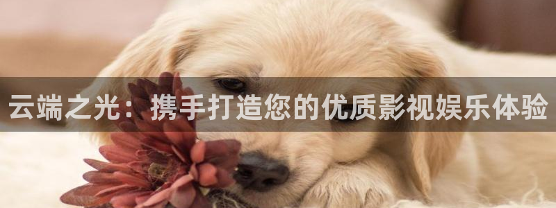 爱丫爱丫在线影院今天免费高清动漫：云端之光：携手打造您的优质影视娱乐体验