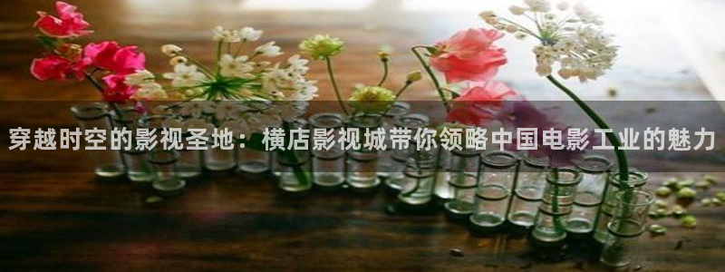 爱丫爱丫兄妹影院电视剧免费动漫：穿越时空的影视圣地：横店影视城带你领略中国电影工业的魅力